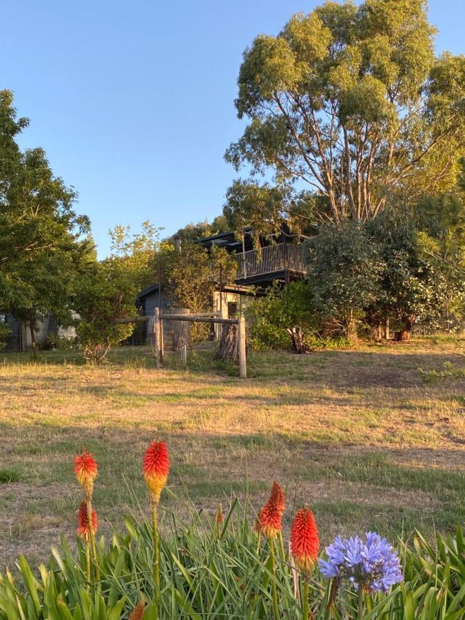 Highfield Cottage Macedon Exterior foto